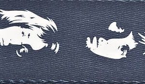 D'ADDARIO "THE BEATLES" GUITAR STRAP, POLYESTER