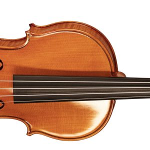 JOHN JUZEK VIOLIN OUTFIT,4/4,OBLONG CASE, BRAZILWOOD BOW & ROSIN