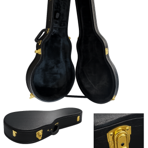 Stadium - Les Paul Archtop Wooden Case